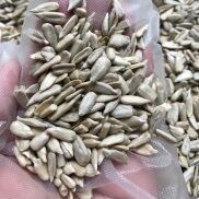 Hạt Hướng Dương Tách Vỏ 500gram Nguyên vị Hạt sống Sunflower seeds
