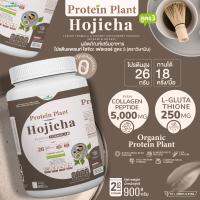 PROTEIN PLANT โปรตีนแพลนท์ สูตร 3 (รสโฮจิฉะ) 900 กรัม/กระปุก (2 ปอนด์ 2LBS) ทานได้ 18 ครั้ง โปรตีนพืช 5 ชนิด คอลลาเจนเปปไทด์ แอลกลูต้าไธน