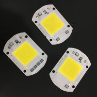 10 PCS LED COB Chip 50W 40W 30W 20W 10W AC 220V 110V No need driver Smart IC bulb lamp For DIY LED Floodlight Spotlight