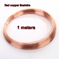 High Quality 1meter Copper Line Wire 0.2/0.3/0.4/0.5/0.6/0.8/1/1.2/1.5/1.8/2/2.5/3/4/5 mm T2 Copper Red copper 99x90 Bare Wire