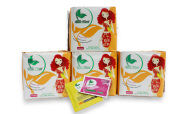 Bộ 4 gói BVS hàng ngày lưới BELLE FLORA