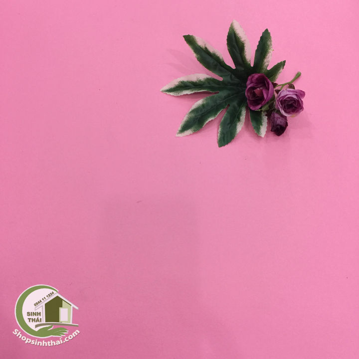 Dùng phông nền giấy dán tường màu hồng nhám để tạo ra một không gian sống đầy màu sắc và trẻ trung. Với các họa tiết đa dạng và sáng tạo, bạn sẽ không chần chừ để tạo nên một không gian sống đẹp đến ngỡ ngàng.