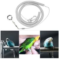 【CW】∏﹍◑  Alloy Leg Chain Anti Bite Plastic Wire Rope Outdoor Flight Training Macaw Starling