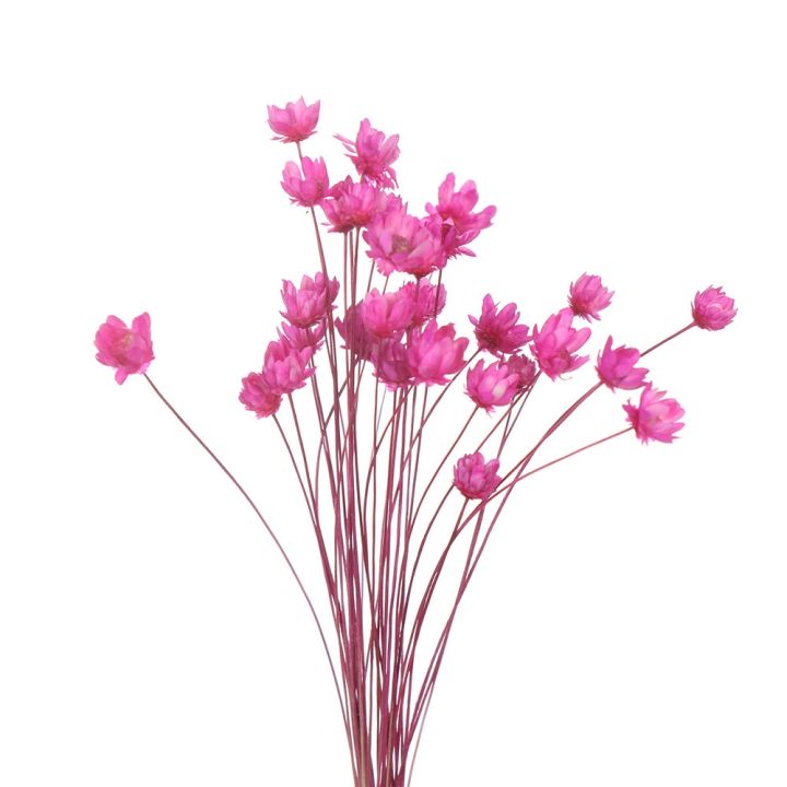 ayiq-flower-shop-ดอกไม้แห้งเล็กๆน้อยๆ-gypsophila-เดซี่ช่อ-diy-ตกแต่งบ้านแจกันการจัดดอกไม้ศิลปะ-deco-ดอกไม้แห้งอุปกรณ์ถ่ายภาพ