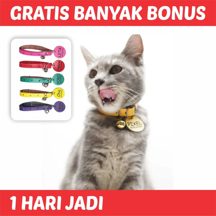 Kalung kucing nama custom collar kucing perlengkapan kucing nama