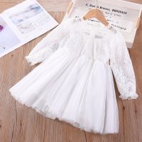 2022 Toddler Girl Outfits White Lace Dress Princess Long-sleeved Mesh Gown Puffy Dress Childrens Clothing For Baby Girls  by Hs2023