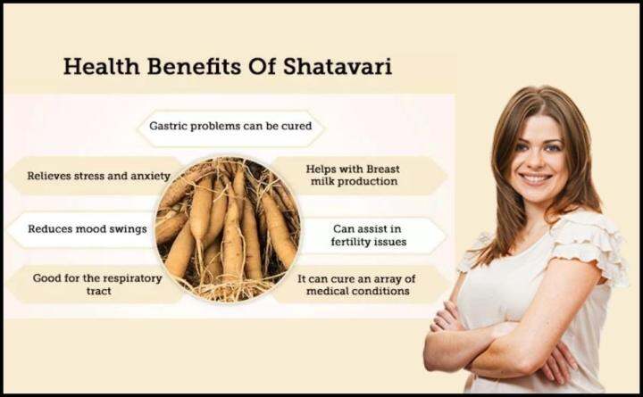 shatavari-powder-500-grams-pure-premium-quality