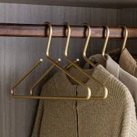 5pcs Coat Hangers Solid Aluminum Alloy Seamless Matte Gold Clothes Hanger Trousers Sweater Storage Racks Wardrobe Organizer Clothes Hangers Pegs