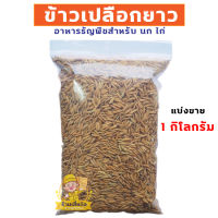 ข้าวเปลือก อาหารสัตว์ อาหารนก อาหารไก่ คัดเกรด A แบ่งขาย 1 กิโลกรัม และ 500 กรัม