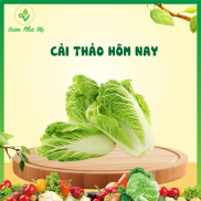 Cải thảo tươi Vườn Nhà Mẹ - 1kg cải thảo - Rau củ quả tươi, sạch