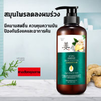 ของแท้ 100% ZENSHOW แชมพูขิงเพียว แชมพูสมุนไพร ยาสระผมแก้ผมร่วงสูตรแก้ปัญหาผมร่วง ผมบาง ปลูกผม เร่งผมเกิดใหม่ ผมยาวไว ยับยั้งร