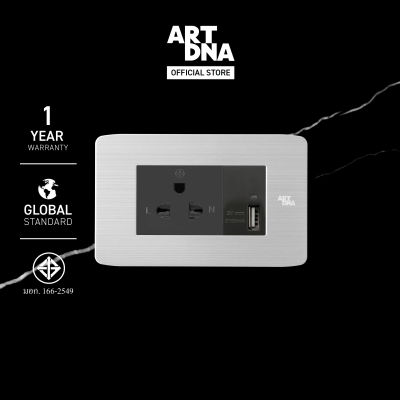 ART DNA รุ่น A89 Socket 3 Pin + USB สีสเเตนเลส + เทา ขนาด 2x4 design switch ปลั๊กไฟสวยๆ ปลั๊กไฟโมเดิร์น