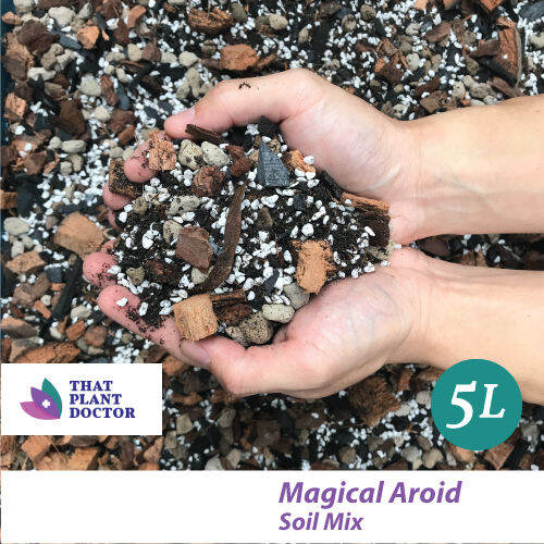 Magical Aroid Soil Mix (25L) Lazada