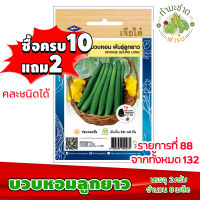 (ซื้อ10แถม2) เมล็ดพันธุ์ บวบหอม ลูกยาว Sponge gourd long ประมาณ 8เมล็ด เจียไต๋ เมล็ดพันธุ์พืช เมล็ดพันธุ์ผัก เมล็ดผัก เม็ดผัก ผักสวนครัว พืชผัก