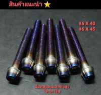 น๊อตสแตนเลสแท้ หัวเจดีย์สูง  #6 /M10  สีไทเท- เงิน