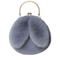 Plush Bag Crossbody Bag For Women 2023 New Portable Cute Student Princess Chain Bag Versatile Bunny Ear Bag