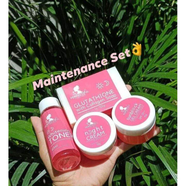 Perfect Skin Whitening Kit Lazada PH