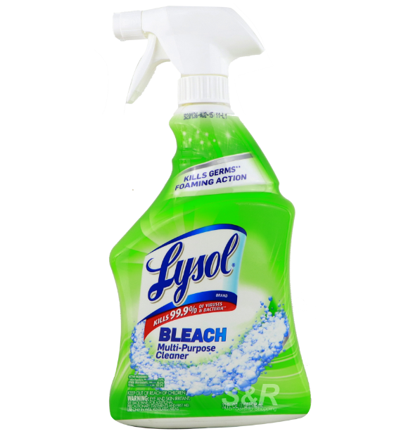 Lysol Bleach MultiPurpose Cleaner 946mL Lazada PH