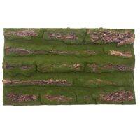 Artificial Bark Decoration Real Dried Bark with for DIY Festival Home Party Wall Embellishment