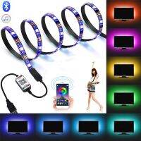 LED Strip Lights RGB 5050 Bluetooth Control USB Flexible Lamp 5V Tape Ribbon Diode For Festival Room Luces Computer TV Desk Luz