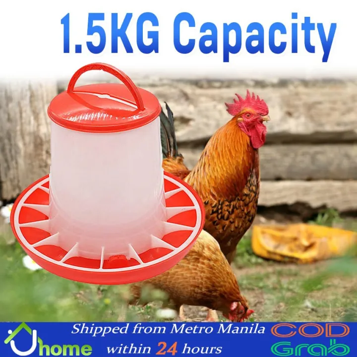 Stat Baby Chick Feeder Automatic Chicken Feeders for Poultry Multiple