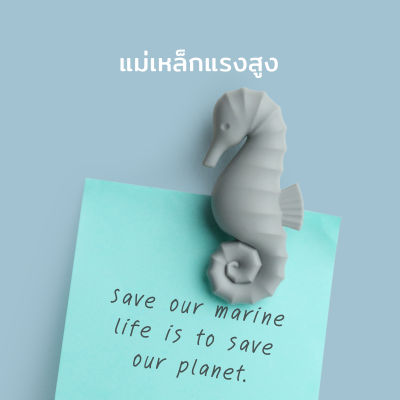 Qualy Design - Seahorse Magnet - แม่เหล็กแรงสูง รุ่นม้าน้ำ แม่เหล็กติดโน๊ต แม่เหล็กติดตู้เย็น