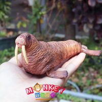 Monkey Toys - โมเดลสัตว์ Walrus สิงโตทะเล แมวน้ำ ขนาด 15.00 CM (จากหาดใหญ่)