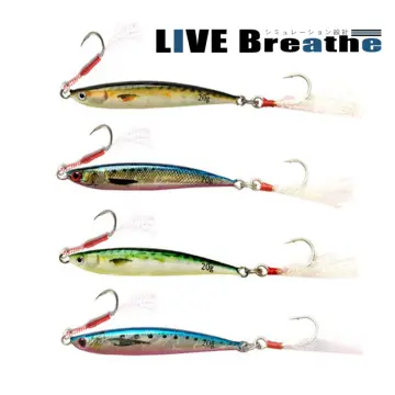 Shore Jigging Lure - Best Price in Singapore - Jan 2024