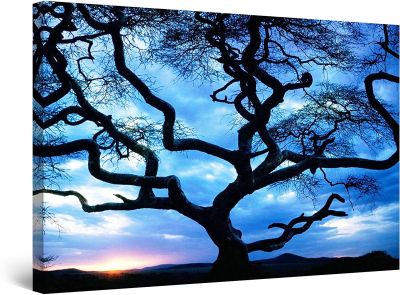 พระอาทิตย์ตกศิลปะบนผืนผ้าใบสำหรับติดกำแพงน่าตื่นตาตื่นใจหลังต้นไม้ต้นไม้ Framed Es