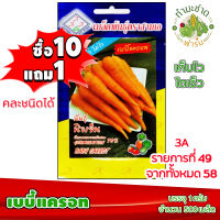 (ซื้อ10แถม1) เมล็ดพันธุ์ เบบี้แครอท Baby Carrot ประมาณ 500เมล็ด 3A สามเอ ผักสวนครัว เมล็ดพันธุ์พืช เมล็ดผัก เม็ดผัก พืชผัก