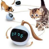 【WNING small pet】USB ไฟฟ้าของเล่นลูกบอลสุนัขแมวแบบอินเทอร์แอคทีฟอัตโนมัติชาร์จได้,ของเล่นออกกำลังกายเล่นทีเซอร์ในร่มแบบหมุนได้เองสำหรับสัตว์เลี้ยงสุนัขลูกสุนัข