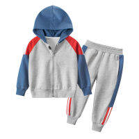 Boys Kids Sports Sets Spring Autumn Baby Children Hot Sale Hooded Jacket and Sweatpants Set Hot Sale Clothing