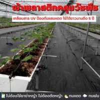 ผ้าคลุมหญ้า ผสมสารป้องกัน UV  (แบบหนา) ผ้าคลุมดิน ผ้าคลุมวัชพืช ผ้าคลุมดิน พลาสติกคลุมดิน ผ้าพลาสติกคลุมวัชพืช