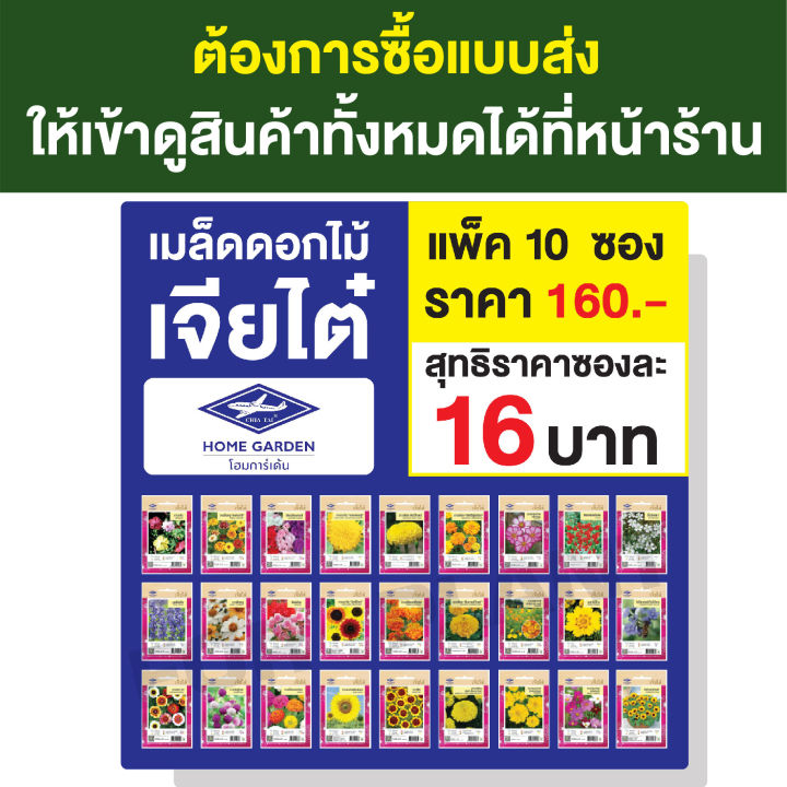 ขายปลีก-เมล็ดพันธุ์-ดอกไม้-เจียไต๋-ct25-ราคาซองล่ะ-18-บาท-คล่ะชนิดได้-เพียงกดเพิ่มชนิดลงรถเข็น-ก่อนกดสั่งซื้อ