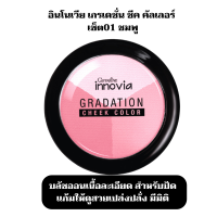 กิฟฟารีน อินโนเวีย เกรเดชั่น ชีค คัลเลอร์ Giffarine Innovia Gradation Cheek Color ที่ปัดแก้มกิฟฟารีน อินโนเวีย เกรเดชั่น ชีค คัลเลอร์