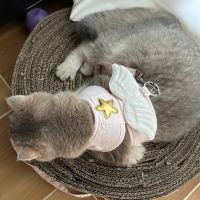 【JCHEN pet supplie】สร้อยคอสายจูงสุนัขแมวปลอกคออุปกรณ์เสริมรายการสัตว์เลี้ยงเสื้อกั๊กปีกนางฟ้าสุดน่ารักสำหรับสุนัขแมวอุปกรณ์ส่วนตัว