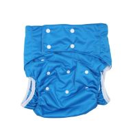 Fashion Hot Selling Washable Reusable Adjustable Size Adult Cloth Diapers for Old Man Patience Post Partum Mother Waterproof Cloth Diapers