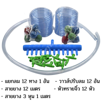 ชุดDIY ท่อแยกลม 12 ช่อง วาวส์ปรับลม 12 อัน สายยาง 12 เมตร หัวทรายจิ๋ว 12 หัว สายยาง 3 หุน 1 เมตร