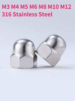 M3 M4 M5 M6 M8 M10 M12 316 Stainless Steel Cap Nuts Decorative Cover Semicircle Dome Nuts Nails Screws Fasteners