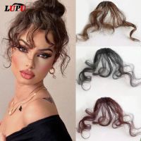 ✕▤ LUPU Synthetic Curly Hair Bangs Clip in Hair Extensions Easy to Use Fake Bangs Natural Clip on Bangs Black Brown High Tempure