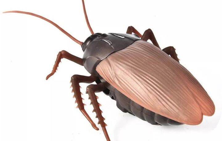 RC Infrared Remote Control Cockroach / RC Forehead Toy Tricky ...