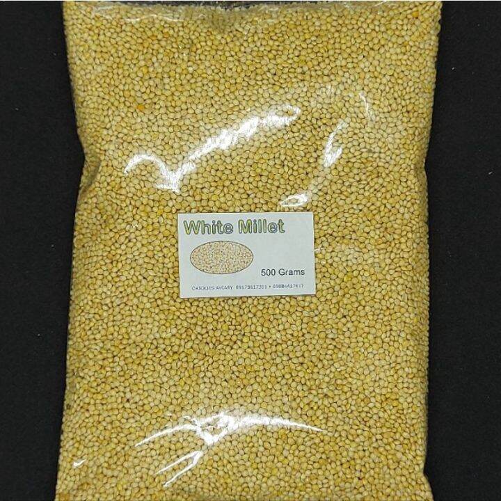 White Millet Bird Seed 500 grams for birds | Lazada PH