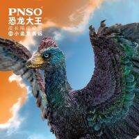 PNSO Microraptor ไดโนเสาร์ราชาสูงเติบโตโมเดลร่างกาย29