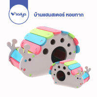 SARIYA บ้านแฮมสเตอร์ บ้านหอยทาก (HA05) ของเล่นแฮมเตอร์ Hamster House