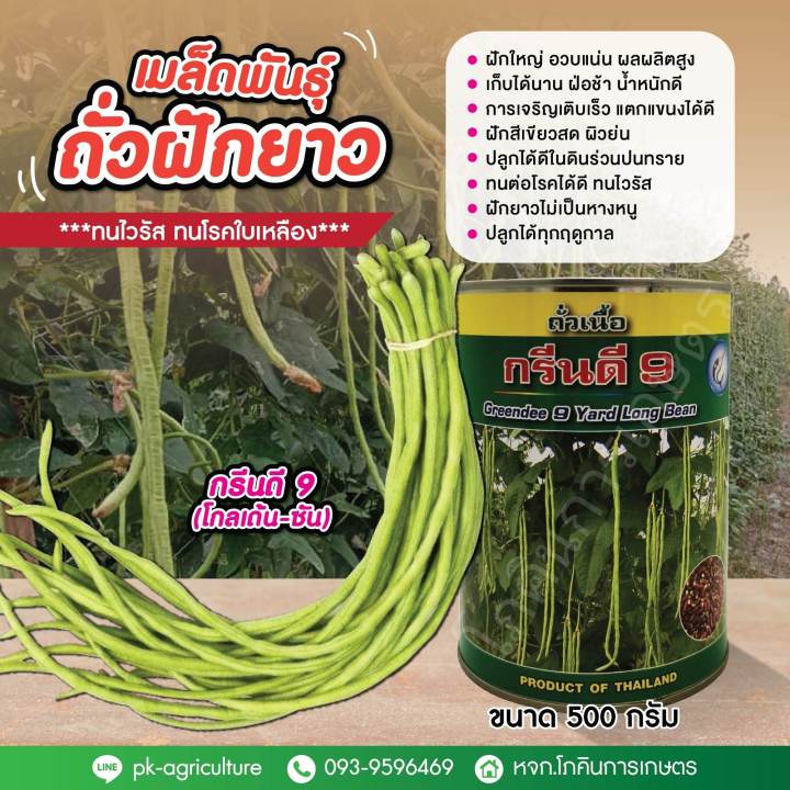 เมล็ดพันธุ์ถั่วฝักยาวกรีนดี-9-โกลเด้น-ซัน-ขนาด-500-กรัม