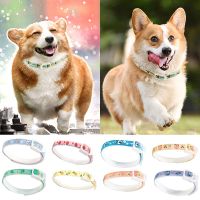 ZZOOI Anti Flea Ticks Insect Mosquitoes Waterproof Long Lasting Protection Dog Collar Custom Puppy Cat Pet Collars