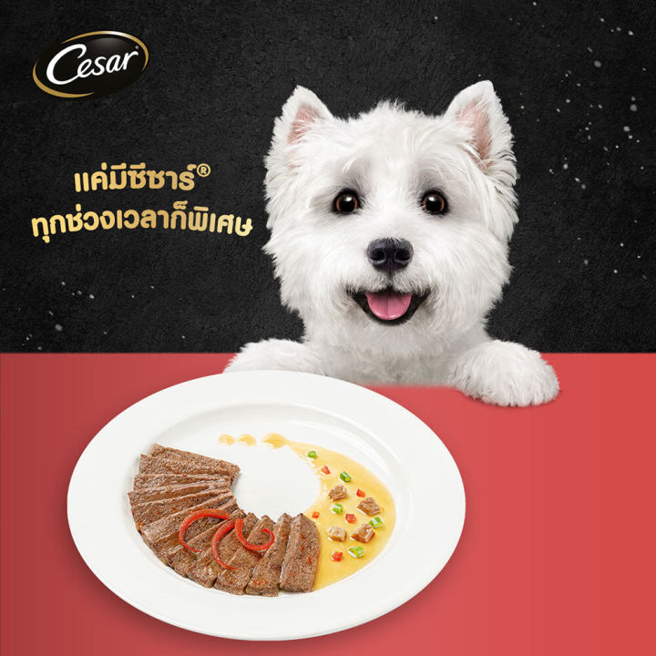 ส่งฟรี-ขายดี-cesar-ซีซาร์-คราฟต์-อาหารสุนัขพรีเมียม-แพ็ก-28-85-ก-อาหารเปียกสุนัข-สำหรับสุนัขโตเต็มวัย