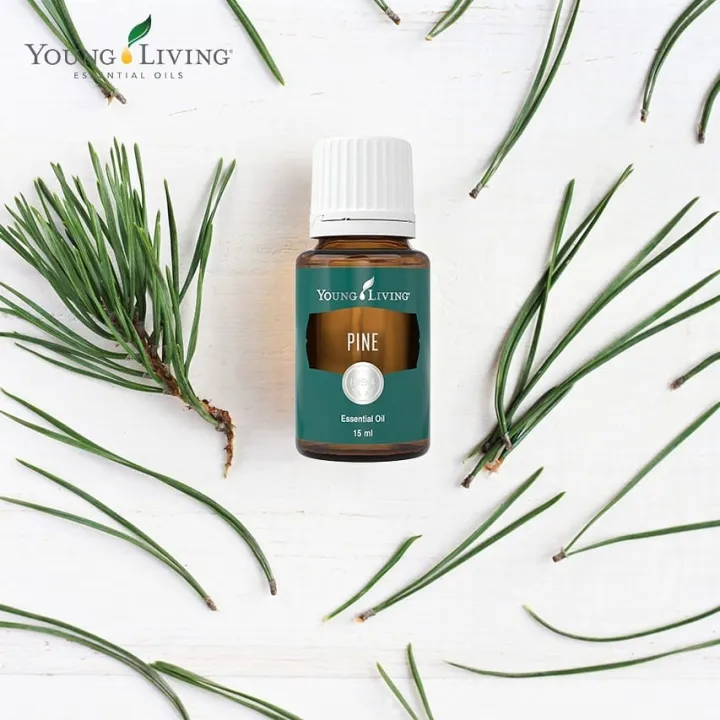 PINE 15ML ESSSENTIAL OIL YOUNG LIVING | Lazada PH