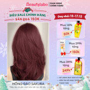 Thuốc nhuộm tóc tại nhà dạng bọt Beautylabo Whip 125ml Whip Hair Color