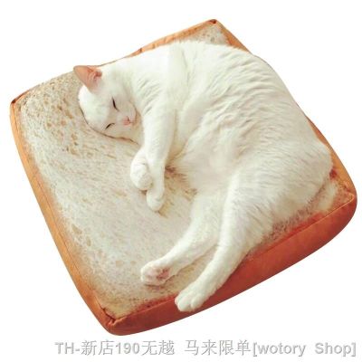 【CW】❀☼  Microblogging with the paragraph cute real life toast bread slices cushions cat special bread-type  cushion cartoon around